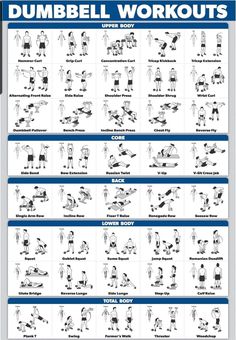 the dumbbell workout chart shows how to do it and what you can use it