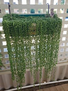 some green plants hanging from a window sill in front of a white curtain with an image of a cat on it