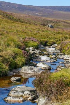 a stream running through a lush green hillside