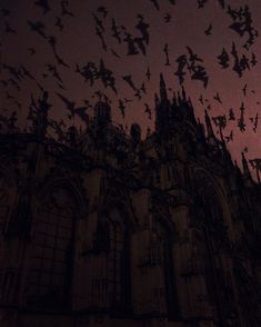 bats flying in the sky over a gothic building