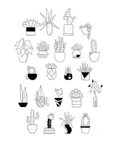 a bunch of potted plants are shown in the shape of a circle on a white background