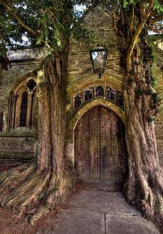 an old building with two trees growing out of it's sides and a lantern on the door