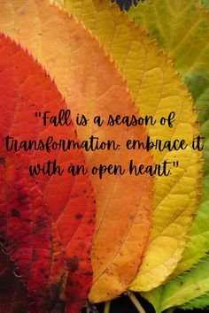 an orange and yellow leaf with the quote fall is a season of transformmation embrace it with an open heart