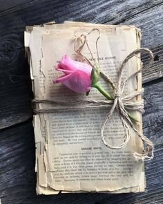 a pink rose sitting on top of an old piece of paper with string attached to it