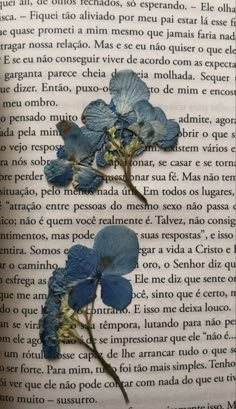 two blue flowers are on top of an open book with spanish text in the background