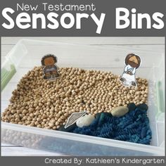 an image of a book cover with some sort of items in the box and text that reads, new testament sensory bins created by children's kindergarten