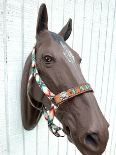 a brown horse head wearing a multicolored rope around it's bridle