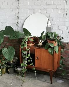 a mirror sitting on top of a wooden dresser next to plants and potted plants