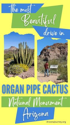 the most beautiful drive in organ pipe cactus national monument arizona