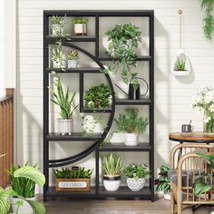 a room filled with lots of potted plants on shelves next to a wooden table