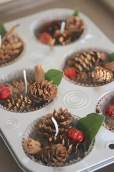 cupcakes with pine cones and red berries are in a muffin tin