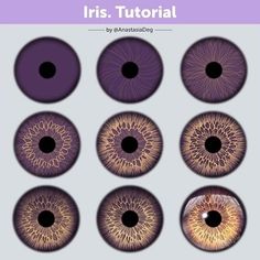 the iris's eye is shown with different colors