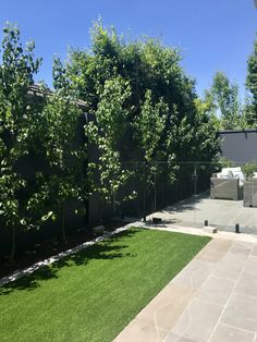 an empty backyard with grass and trees