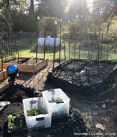 several raised garden beds with plants growing in them and some water bottles on the ground