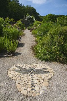 a dragonfly is painted on the gravel in a garden