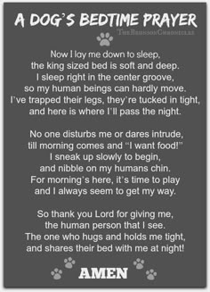 a dog's bedtime prayer is shown in grey and white with paw prints