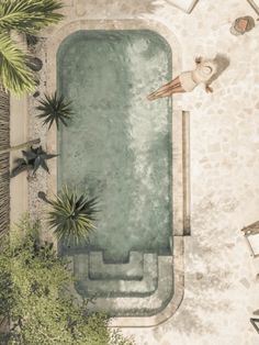 an aerial view of a swimming pool surrounded by palm trees