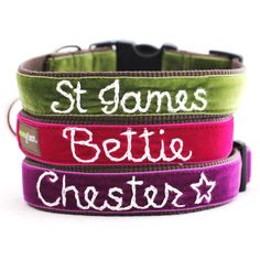 four different colored dog collars with the words st james's bettie chester on them