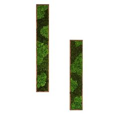 the letters are made up of grass and plants