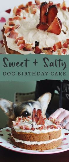 two cakes with strawberries on them and the words sweet + salty dog birthday cake