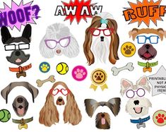 a bunch of dogs with different types of glasses on their faces and hair in the middle