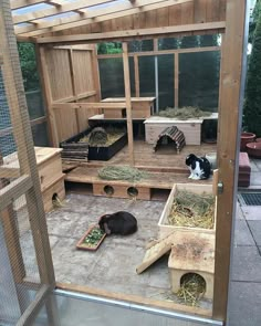 two black and white dogs laying on top of hay in a caged off area