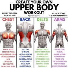 the upper body workout chart shows how to do back and chest exercises for each individual