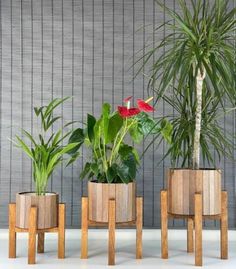 three wooden planters sitting next to each other in front of a wall with plants