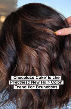 New Hair Color Trends, Face Framing Curtain Bangs, Bangs Straight, Brown Hair Looks, New Hair Colors, Fall Hair Color, Curtain Bangs