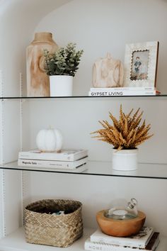 shelves with books, plants and vases on them