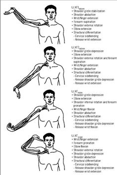 the diagram shows how to use an arm and shoulder with different types of arms, hands and