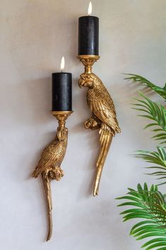 two gold parrot candle holders on a wall