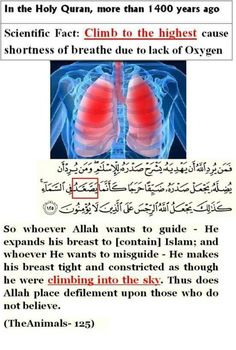 an article about the human body and its organ systems in english, arabic and arabic