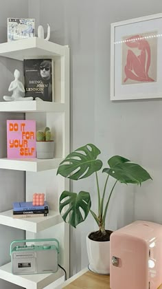 a white shelf with books and a pink toaster on it next to a potted plant