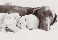 a dog laying next to a baby on top of a bed