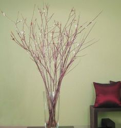 there is a vase with branches in it on the table next to a red pillow