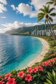 🌺 Ultimate Guide to Planning Your Dream Vacation in Hawaii 🌴 Hawaii City, Hawaii Background, Summer In Hawaii, Hawaii Vacation Aesthetic, Best Hawaiian Island, Hamilton Island, Hawaii Pictures, Waimea Canyon, Visit Hawaii