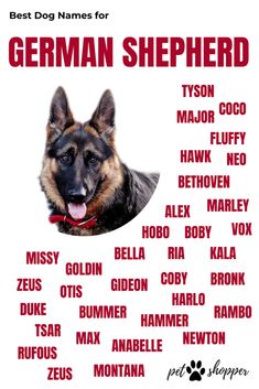 the german shepherd dog names poster