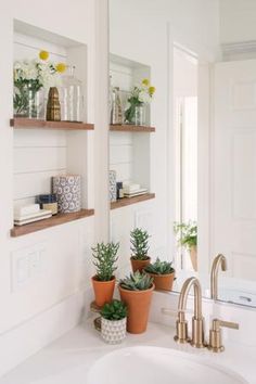 three potted plants are sitting on the sink counter in front of a bathroom mirror