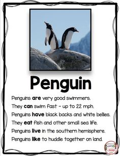 penguins are very cool swimmers they can swim fast - up to 22 mphh penguins live in the southern hemisphere