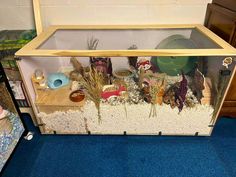 a fish tank filled with lots of different types of items