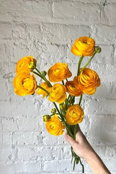 This cheery bright yellow ranunculus is the perfect spring flower to pop into any spring or summer wedding or event, and even brighten up a fall wedding. Yellow Ranunculus Bouquet, Bright Yellow Flowers, Runuculous Flower Bouquet, Ranunculus Table Arrangement, Mustard Yellow Flowers, Rannaculus Flower Wedding, Renuculas Bouquet, Runuculous Flower