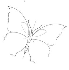 a drawing of a butterfly on a white background