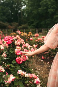 a woman in a pink dress is picking roses