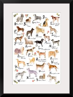 an animal alphabet print with dogs and their names