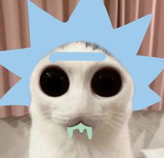 a close up of a cat's face with a blue speech bubble above it