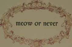 the words meow or never written in an ornate frame