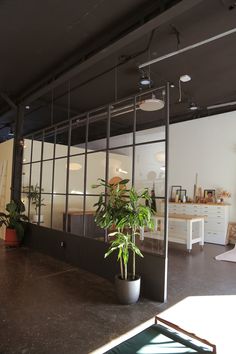 a plant in a pot sitting on the floor next to a wall with glass panels