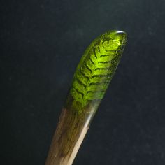 a close up of a green leaf on a wooden stick