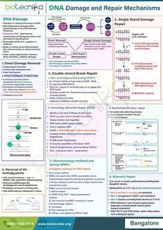 a poster with information about the different types of damage and repair mechanisms in an electronic device